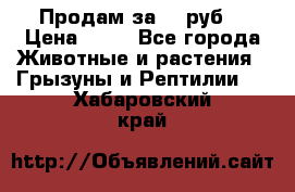 Продам за 50 руб. › Цена ­ 50 - Все города Животные и растения » Грызуны и Рептилии   . Хабаровский край